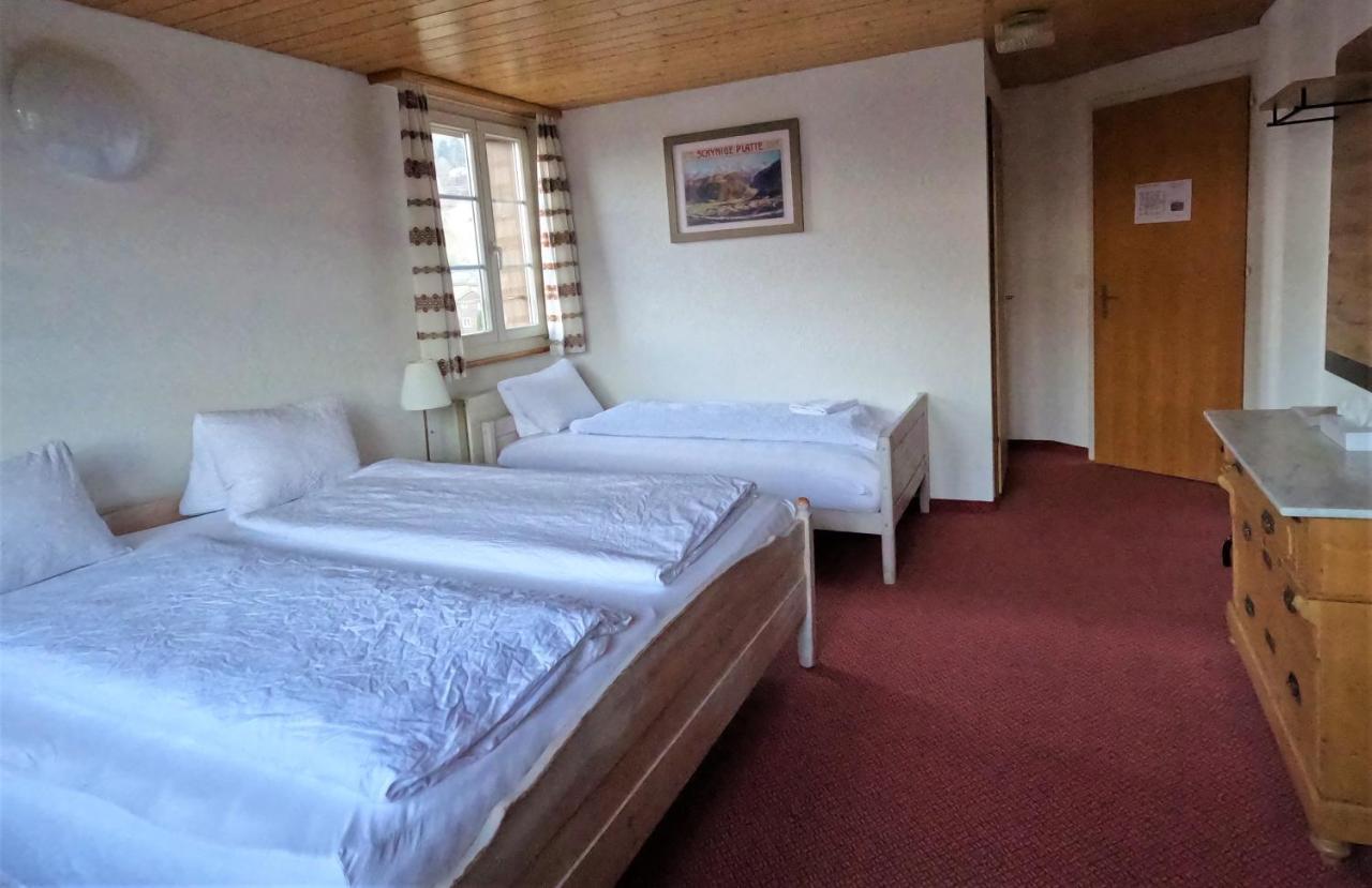 Hotel Alpenrose And Gardens 2*